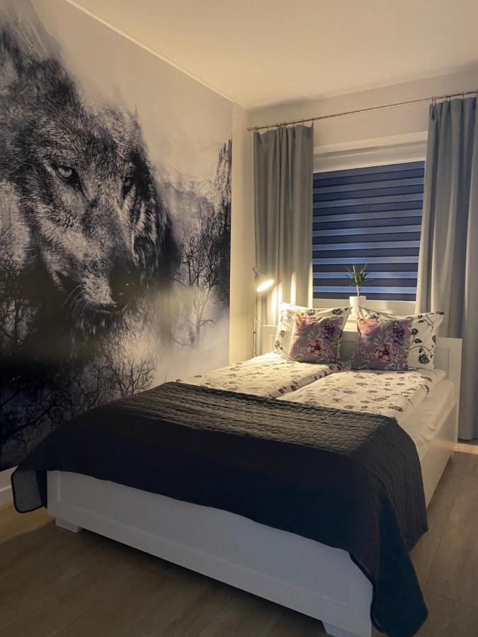 אוסטריצקי דולנה Apartament Bieszczadzkie Widoki מראה חיצוני תמונה